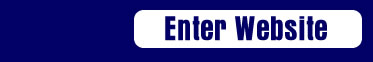 Enter Website