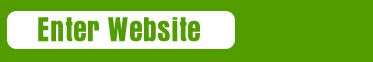 Enter Website